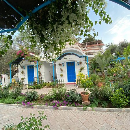 Sunmed Lodge Oludeniz Exterior photo