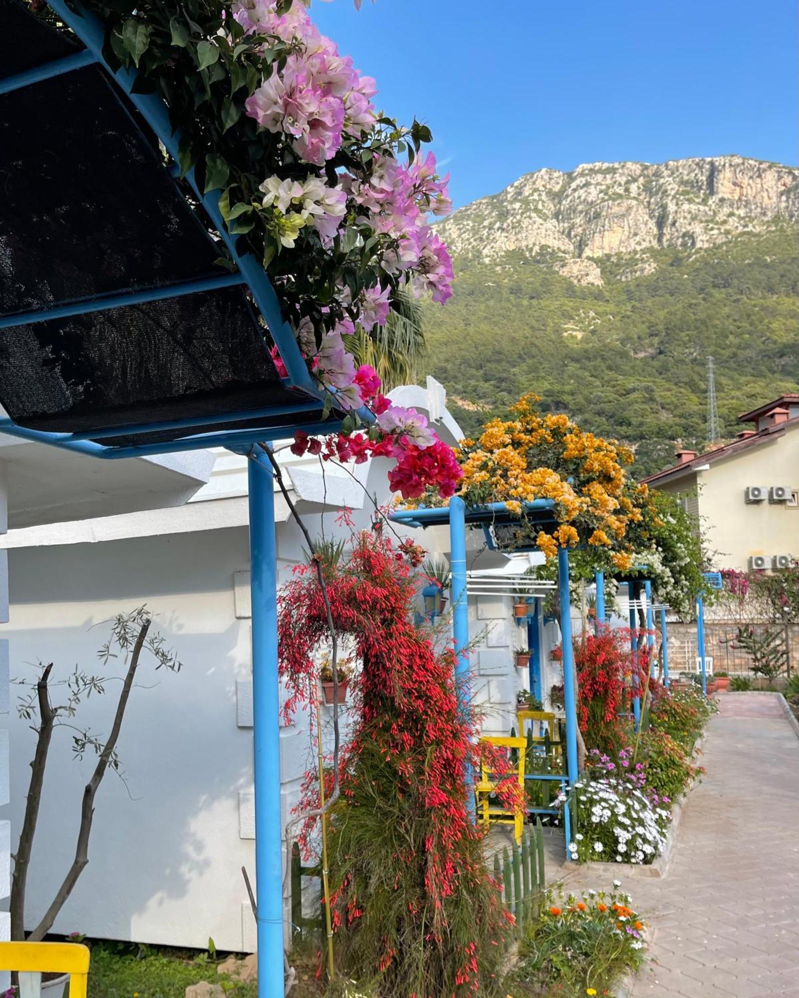 Sunmed Lodge Oludeniz Exterior photo